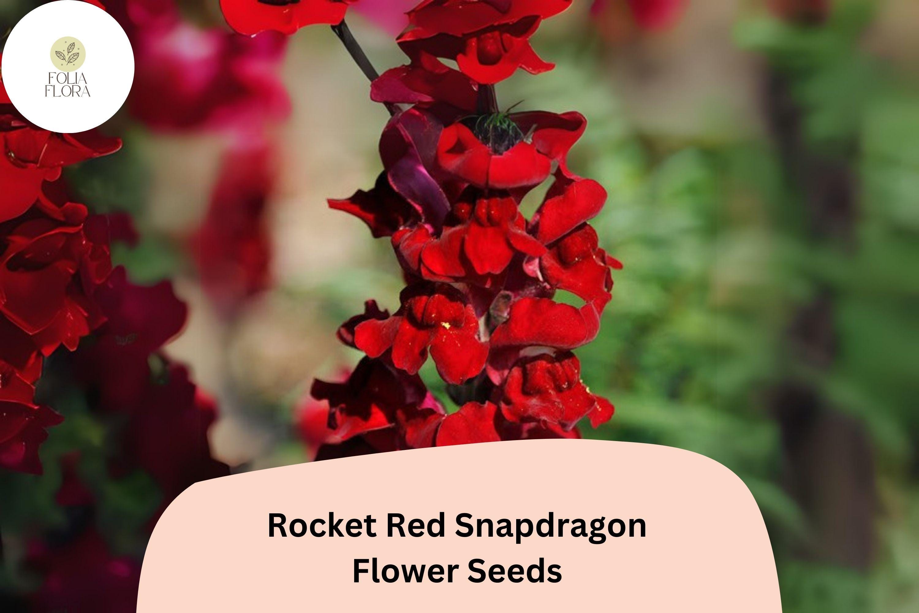 Antirrhinum majus Rocket Red Snapdragon Seeds â€“ 1000+ Bold Red Blooms for Garden & Cut Flowers