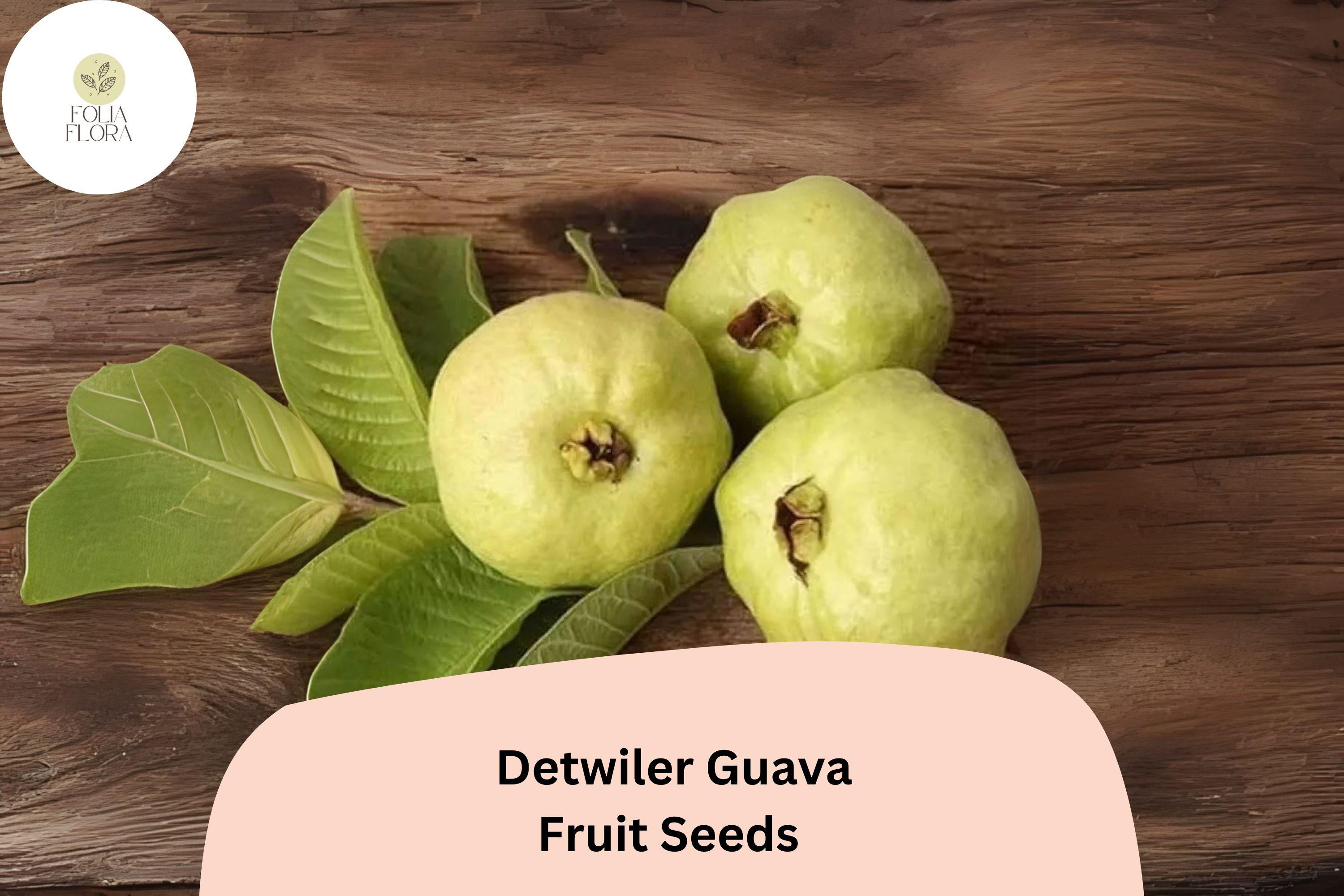 50+ Detwiler Guava Seeds â€“ Grow Exotic Psidium guajava Fruit for Home & Garden Planting