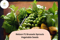 500+ Nelson F1 Brussels Sprouts Seeds â€“ High-Yield Hybrid for Garden & Home Growing