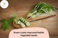 500+ Green Luobo Improved Radish Seeds â€“ Heirloom, Crisp & Sweet Asian Variety