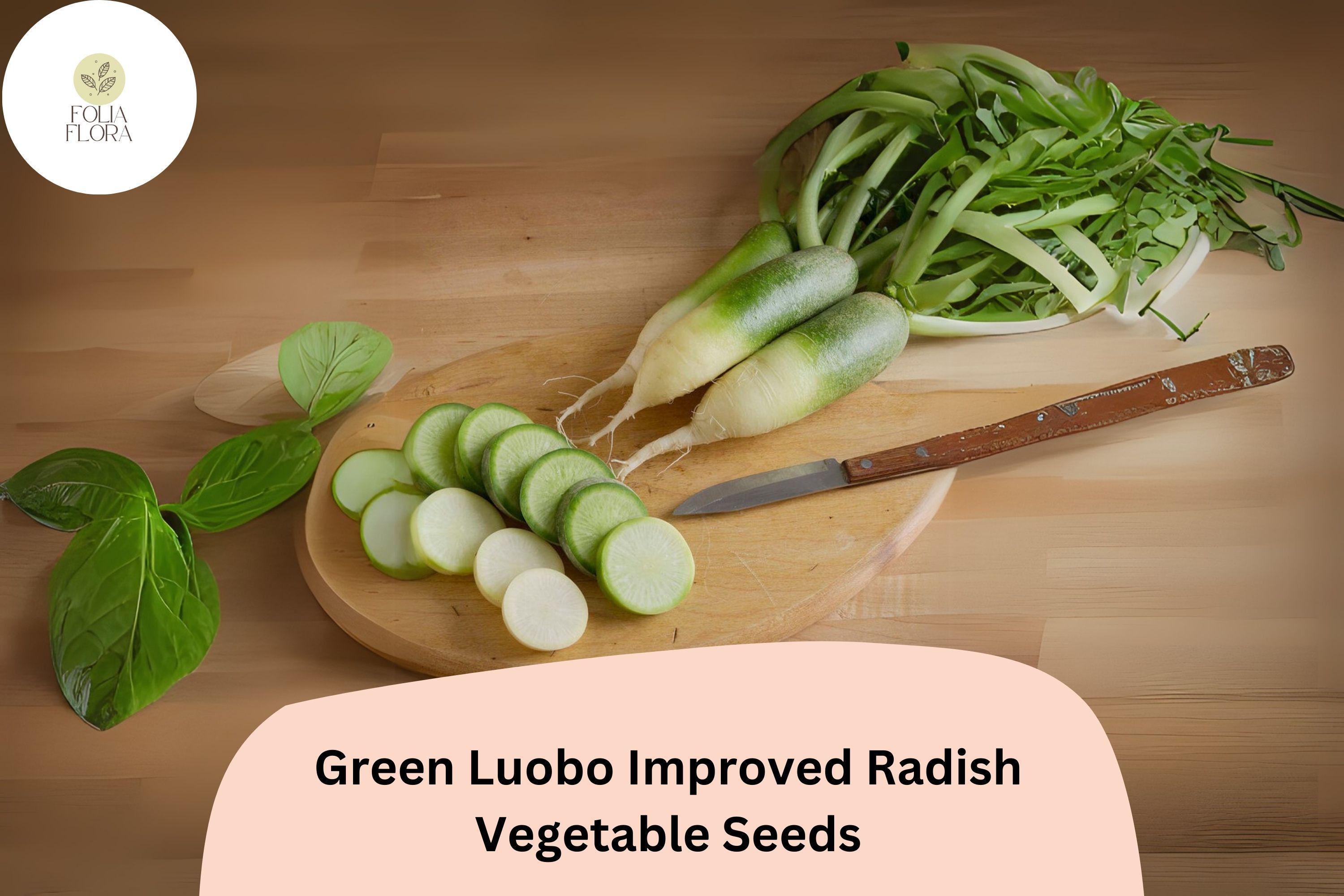 500+ Green Luobo Improved Radish Seeds â€“ Heirloom, Crisp & Sweet Asian Variety