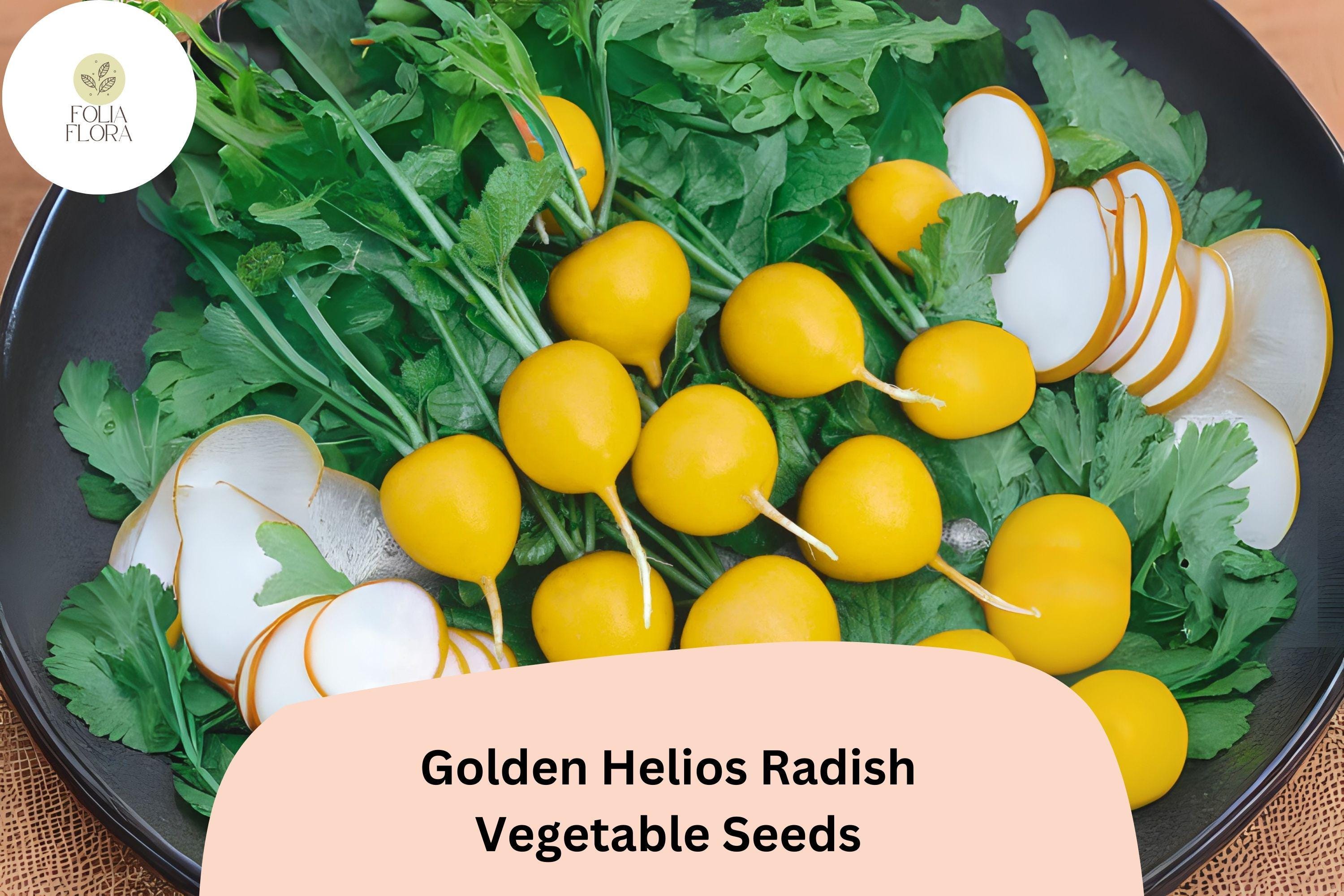 500+ Golden Helios Radish Seeds â€“ Heirloom, Mild & Crisp Yellow Radish