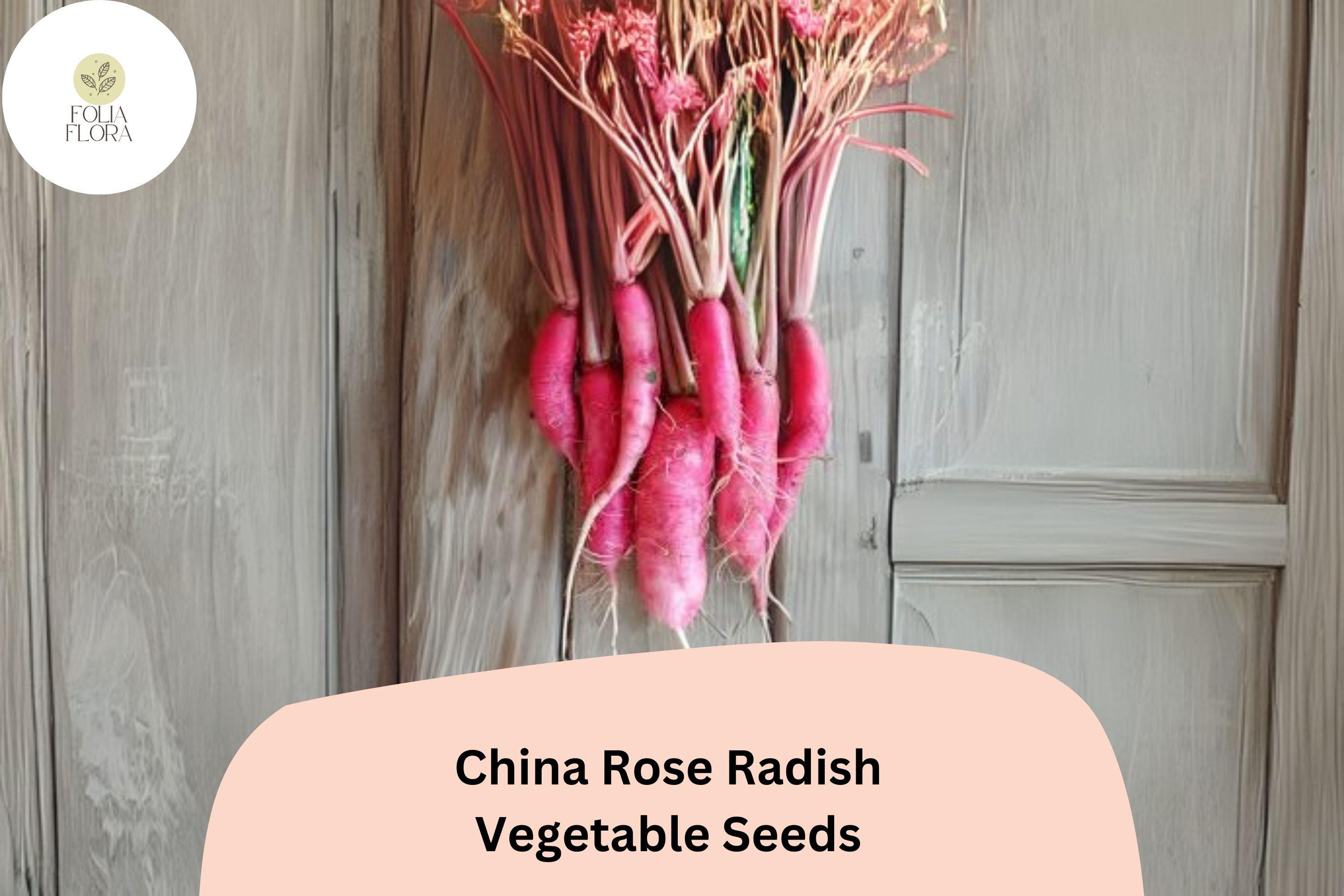 500+ China Rose Radish Seeds â€“ Heirloom, Crisp & Spicy Winter Radish