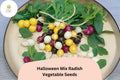 500+ Halloween Mix Radish Seeds â€“ Colorful Heirloom Blend, Fast-Growing
