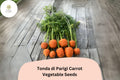1000+ Tonda di Parigi Carrot Seeds â€“ Heirloom, Round Baby Carrots