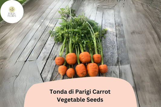 1000+ Tonda di Parigi Carrot Seeds â€“ Heirloom, Round Baby Carrots