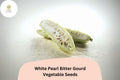 White Pearl Bitter Gourd Seeds â€“ Rare Non-GMO Melon for Garden