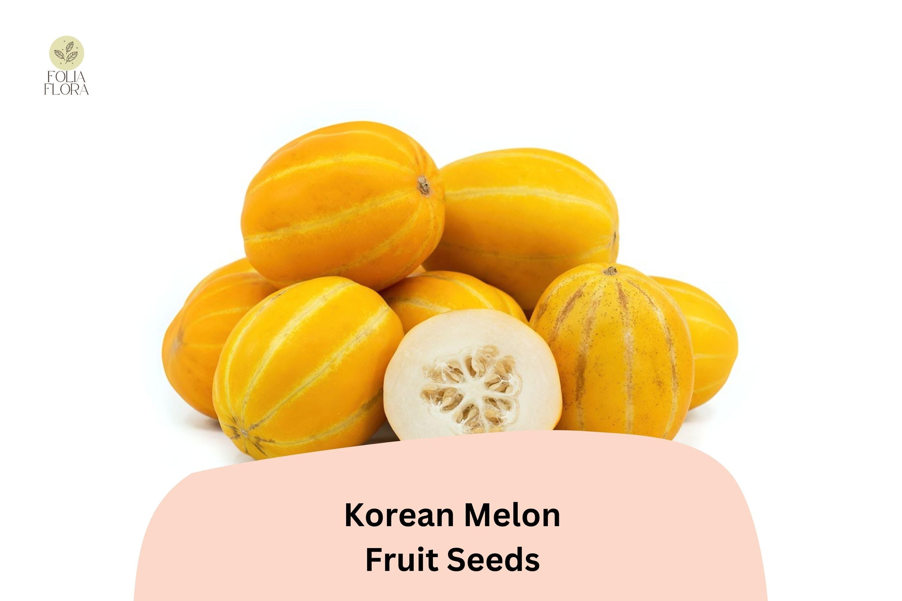 Korean Melon Seeds â€“ Sweet Heirloom Asian Fruit, Home Garden