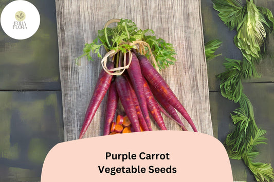 1000 Purple Carrot Seeds â€“ Heirloom Non-GMO Vegetable Seeds
