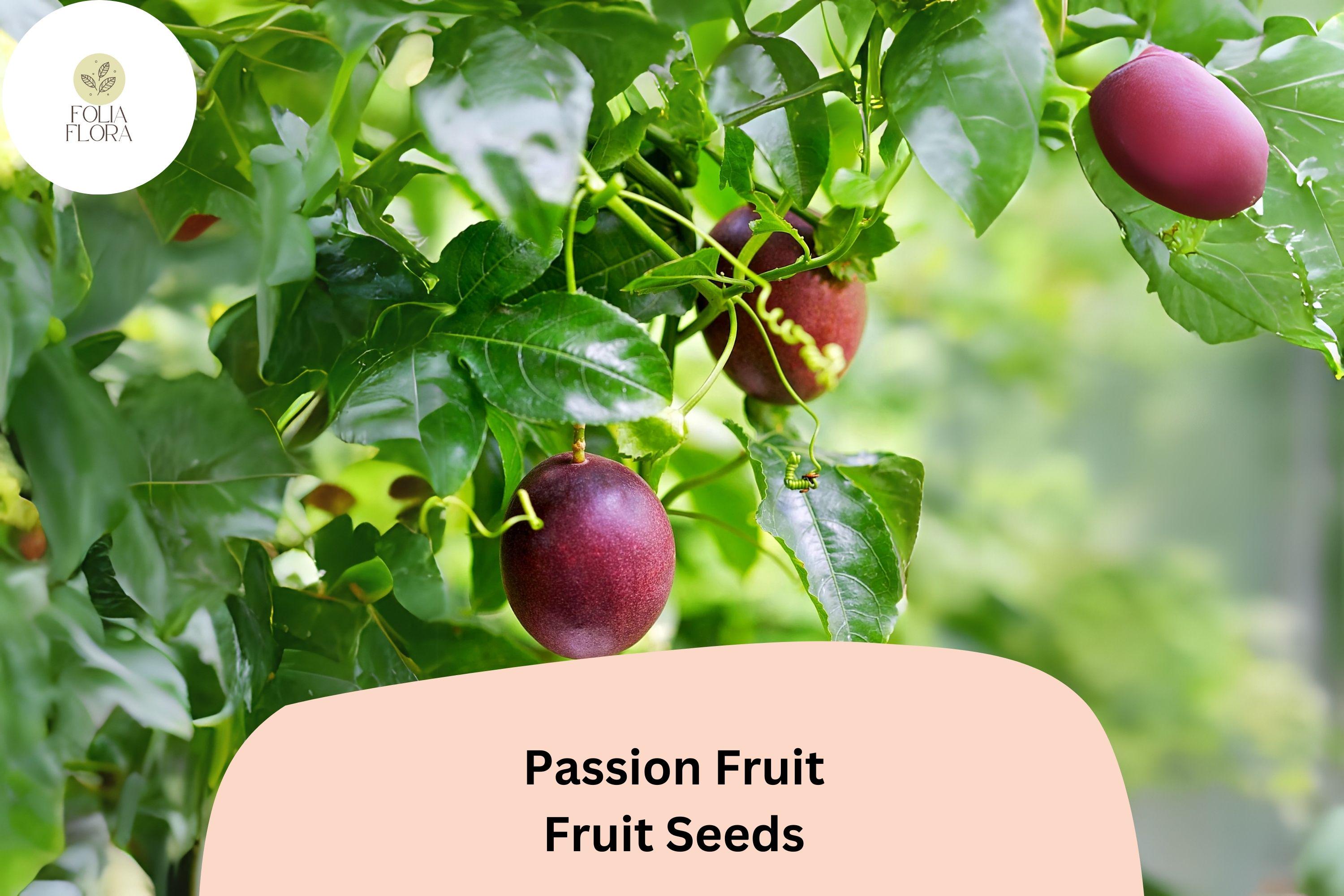 50 Passion Fruit Seeds â€“ Tropical Vine, Edible Fruit