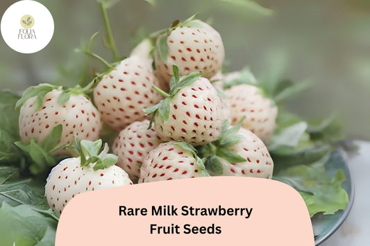 Rare Milk Strawberry Seeds â€“ Heirloom White-Pink Berry Variety