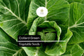 Organic Collard Greens Seeds | Heirloom Variety