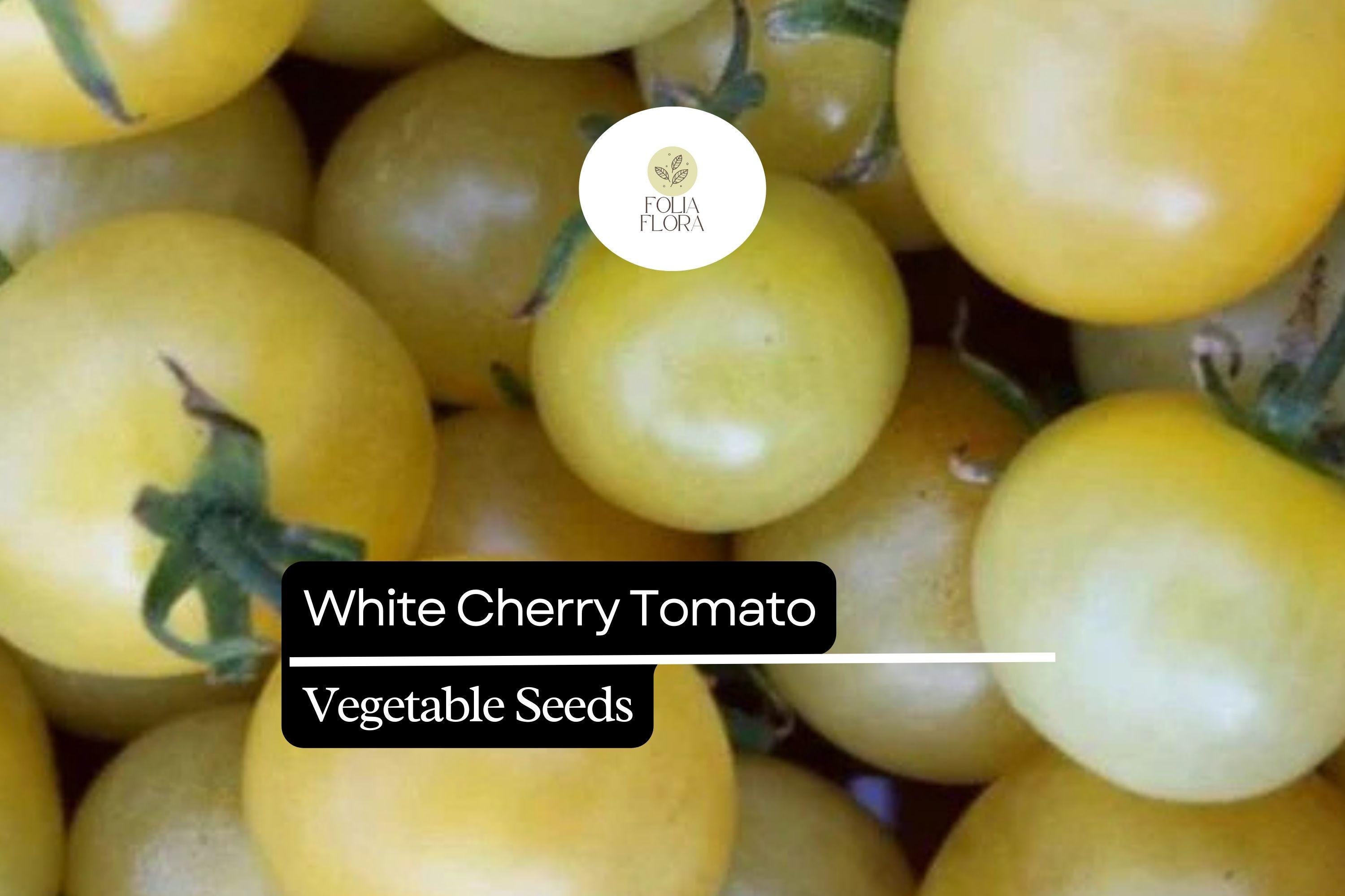 White Cherry Tomato Seeds | Heirloom Solanum Lycopersicum (15 Seeds)