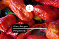 50 Ghost Pepper Seeds | Bhut Jolokia, Super Hot Heirloom Chili