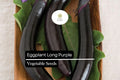 Long Purple Eggplant Seeds | Heirloom Non-GMO, 350 Seeds