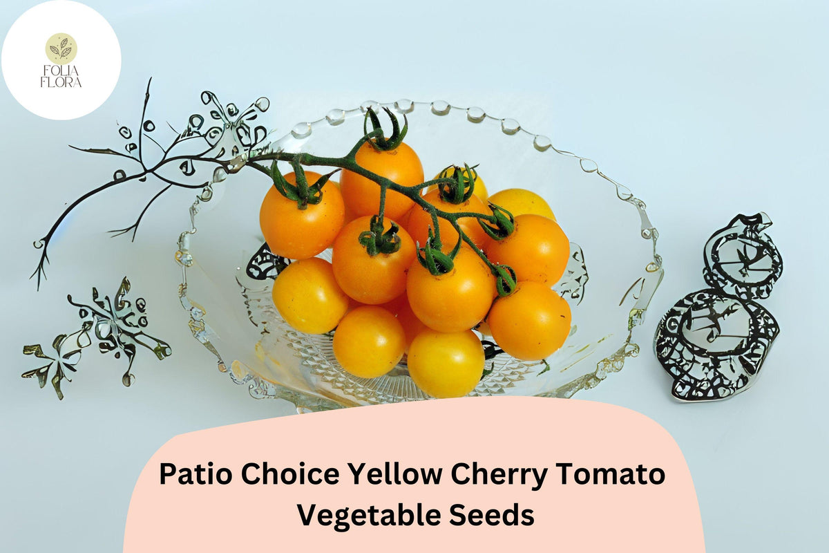 Yellow Cherry Tomato Seeds | Patio Choice Heirloom, Sweet & Compact (100 Seeds)