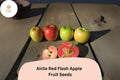 Airlie Red Flesh Apple Seeds | Heirloom Variety