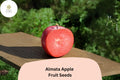 Almata Apple Seeds | Rare Red-Flesh Fruit Tree