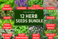 BUNDLE of 12 Herb Seeds â€“ Basil, Dill, Lavender, Thyme and More for Kitchen & Garden
