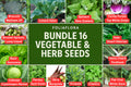 Vegetable Herb Seed Bundle - 16 Varieties for Home Gardening