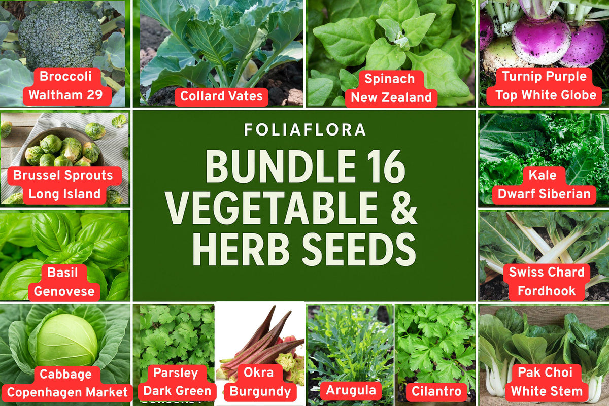 Vegetable Herb Seed Bundle - 16 Varieties for Home Gardening