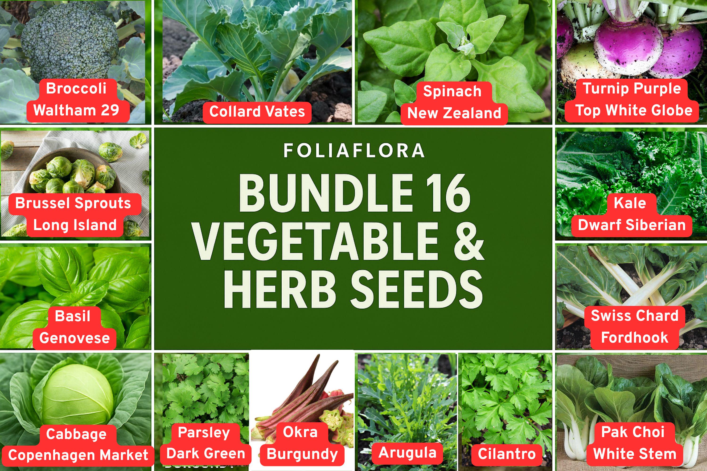 Vegetable Herb Seed Bundle - 16 Varieties for Home Gardening