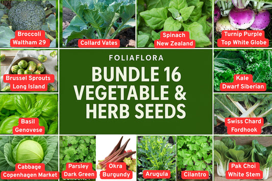Vegetable Herb Seed Bundle - 16 Varieties for Home Gardening