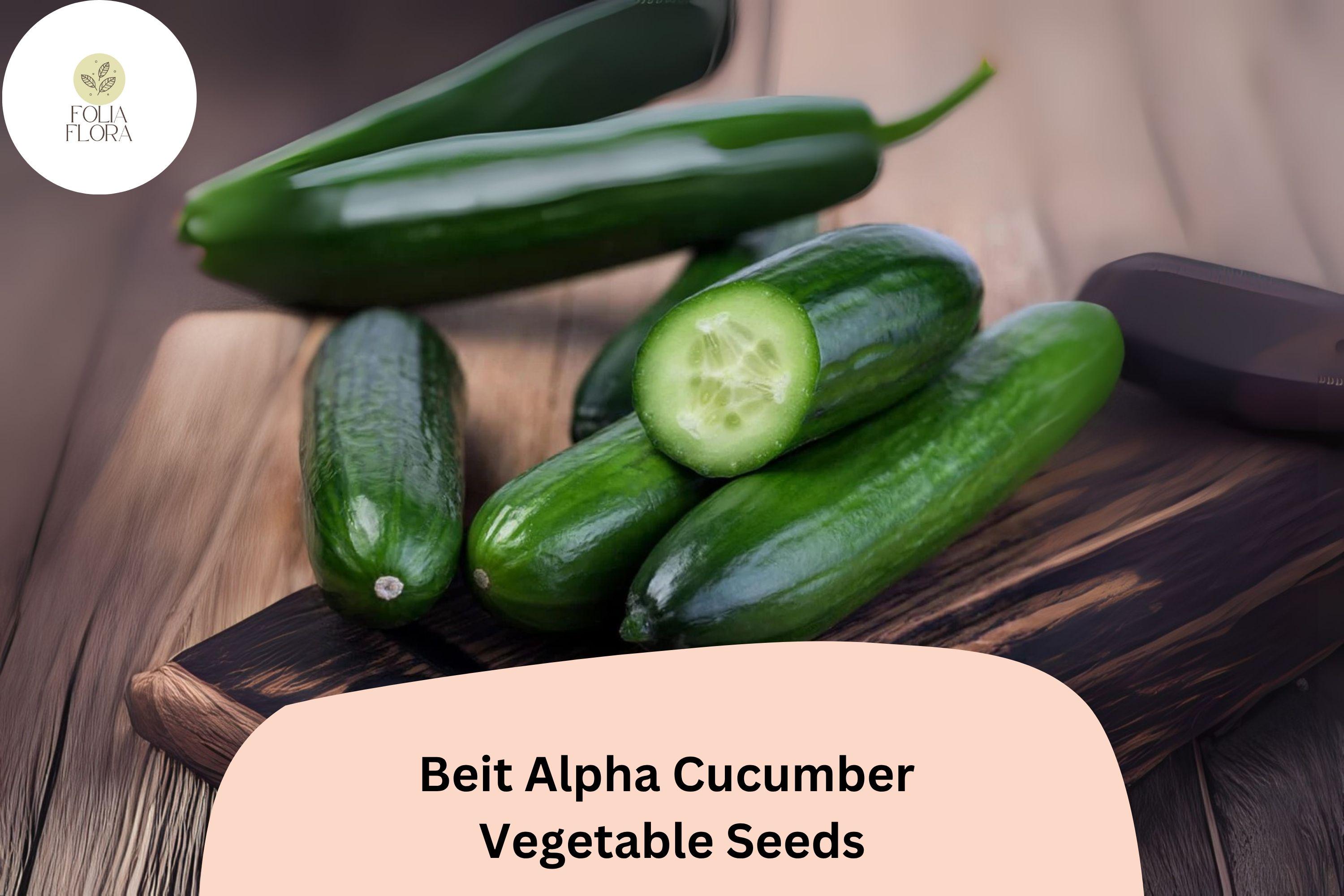 25+ Beit Alpha Cucumber Seeds | Sweet Thin-Skinned Israeli Variety | Non-GMO Easy Garden Planting