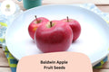 Baldwin Apple Seeds (25+) | Heirloom Cold Hardy Fruit Tree