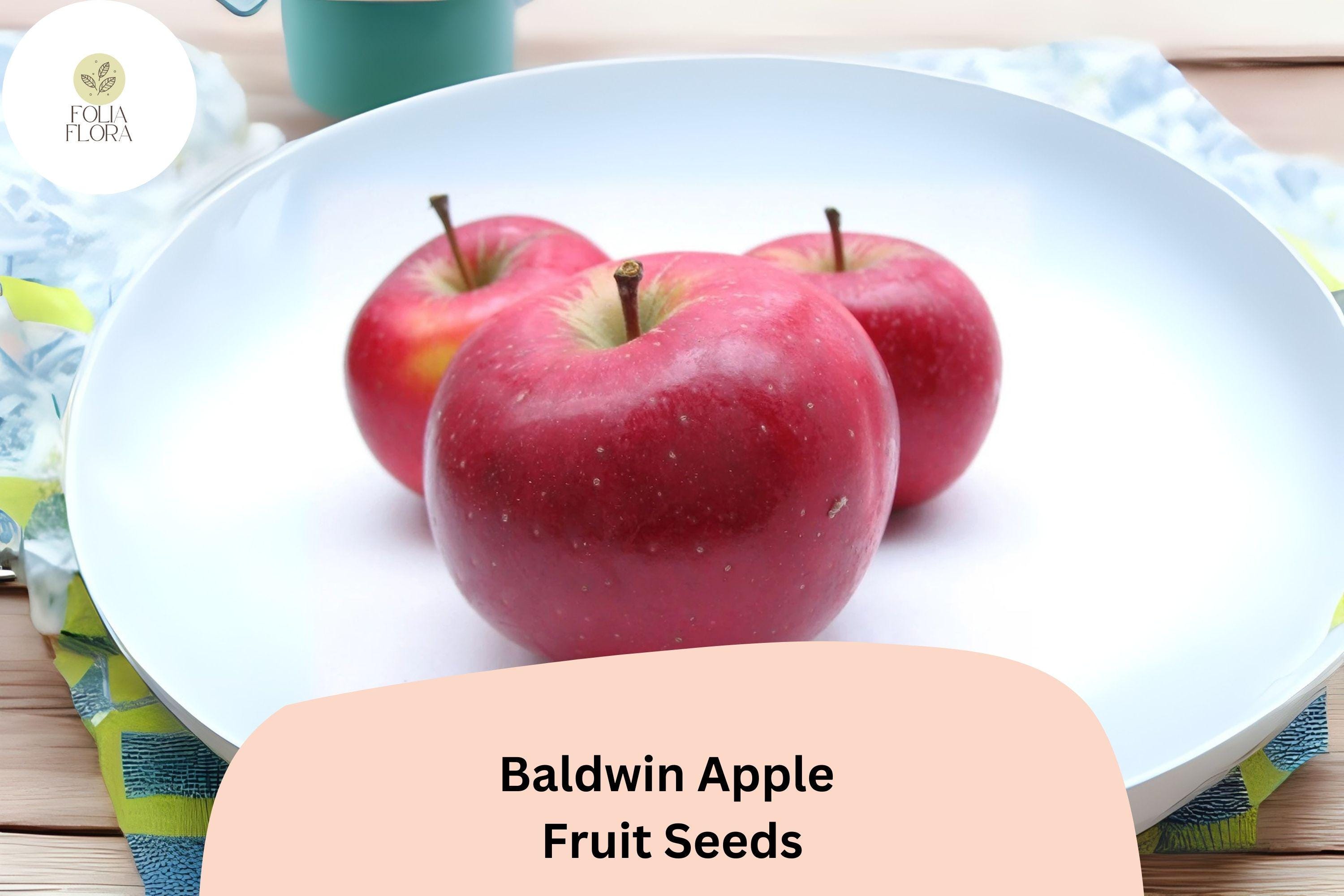 Baldwin Apple Seeds (25+) | Heirloom Cold Hardy Fruit Tree