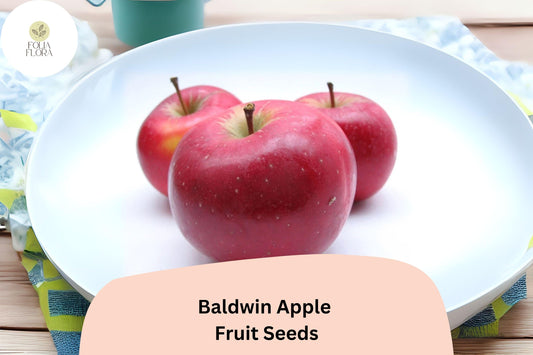 Baldwin Apple Seeds (25+) | Heirloom Cold Hardy Fruit Tree