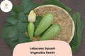 Lebanese Cousa Squash Seeds | Heirloom Summer Vegetable