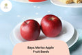 25+ Baya Marisa Apple Seeds for Planting | Red Flesh Apple Tree | Sweet Crisp Fruit