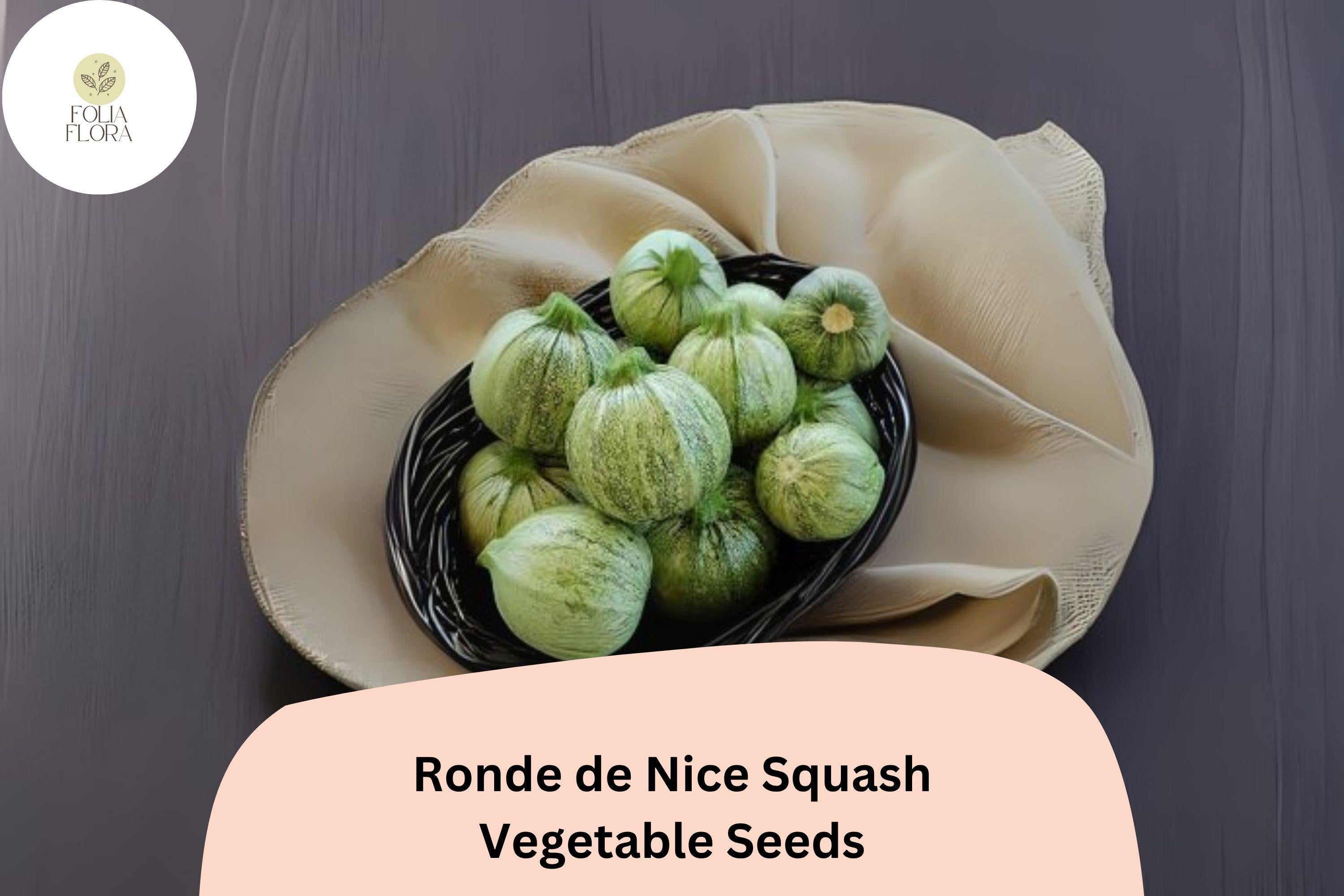 Ronde de Nice Squash Seeds | Heirloom Round Zucchini for Planting