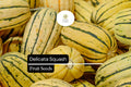 25+ Delicata Squash Seeds for Planting | Sweet Heirloom Winter Squash