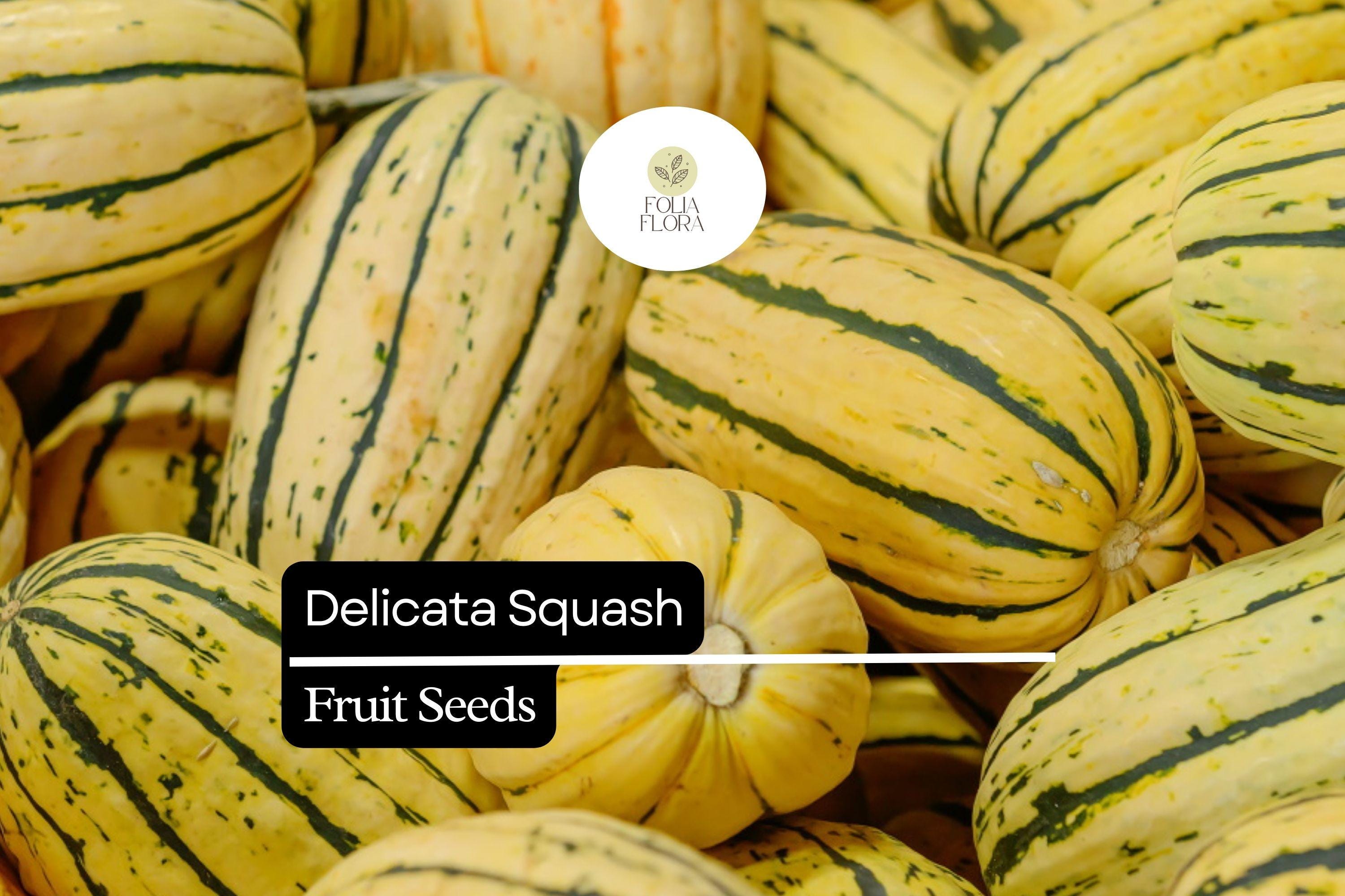 25+ Delicata Squash Seeds for Planting | Sweet Heirloom Winter Squash