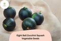 Eight Ball Zucchini Seeds | Round Summer Squash for Stuffing