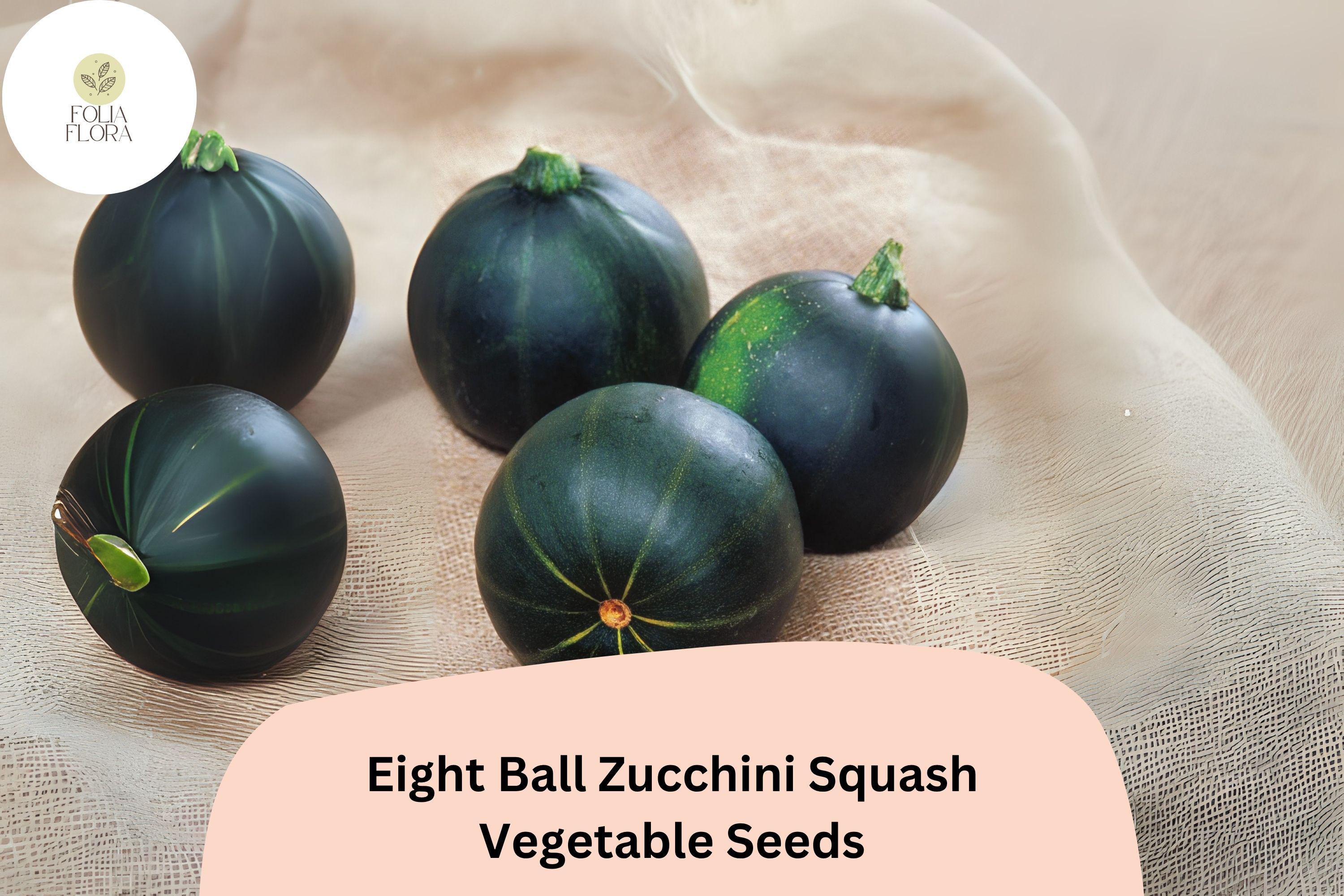 Eight Ball Zucchini Seeds | Round Summer Squash for Stuffing