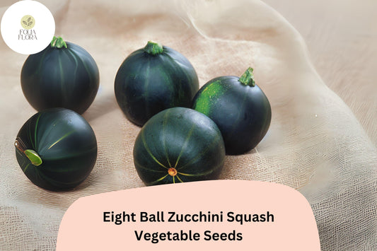 Eight Ball Zucchini Seeds | Round Summer Squash for Stuffing