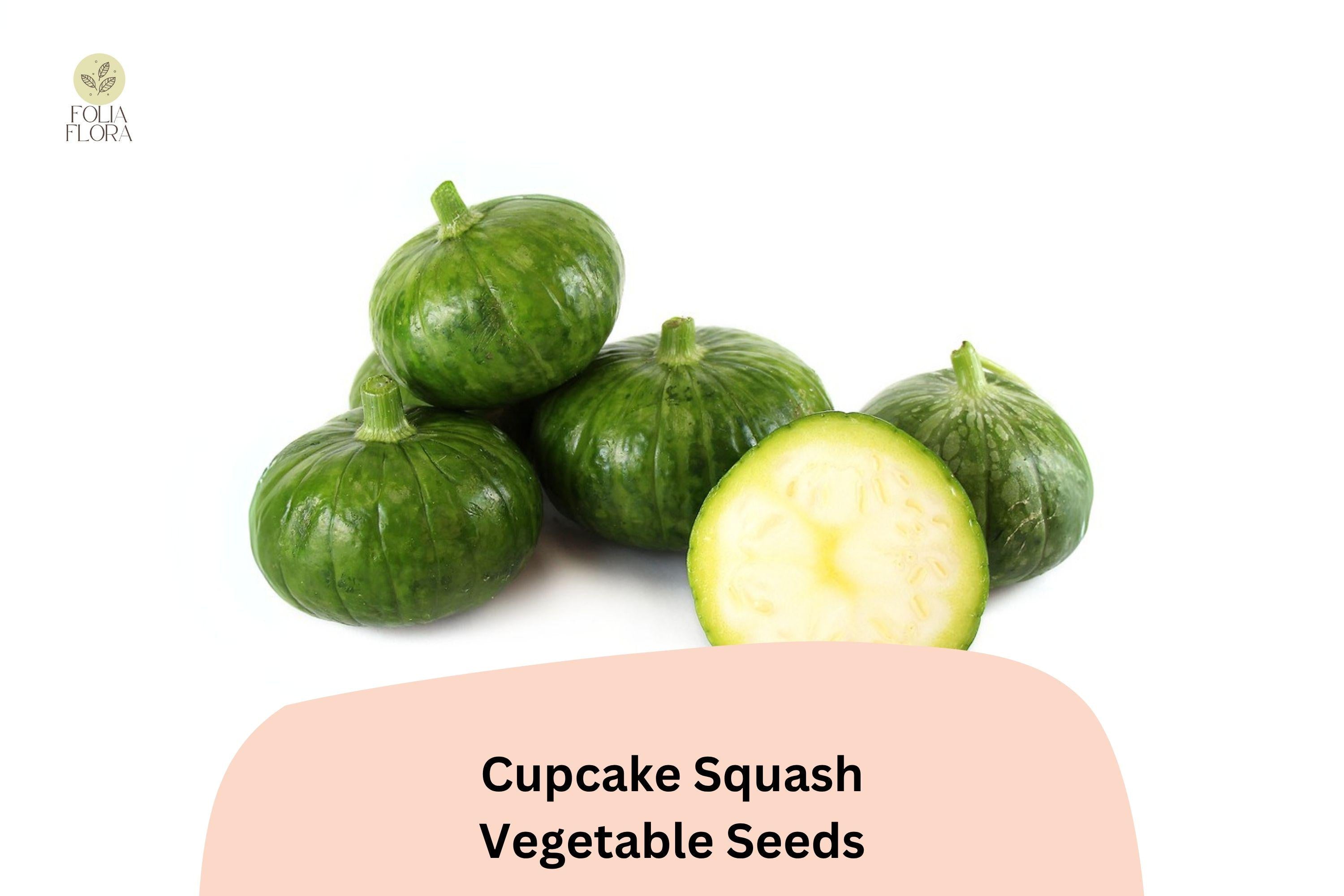 Cupcake Squash Seeds | Patty Pan Zucchini, Easy Grow