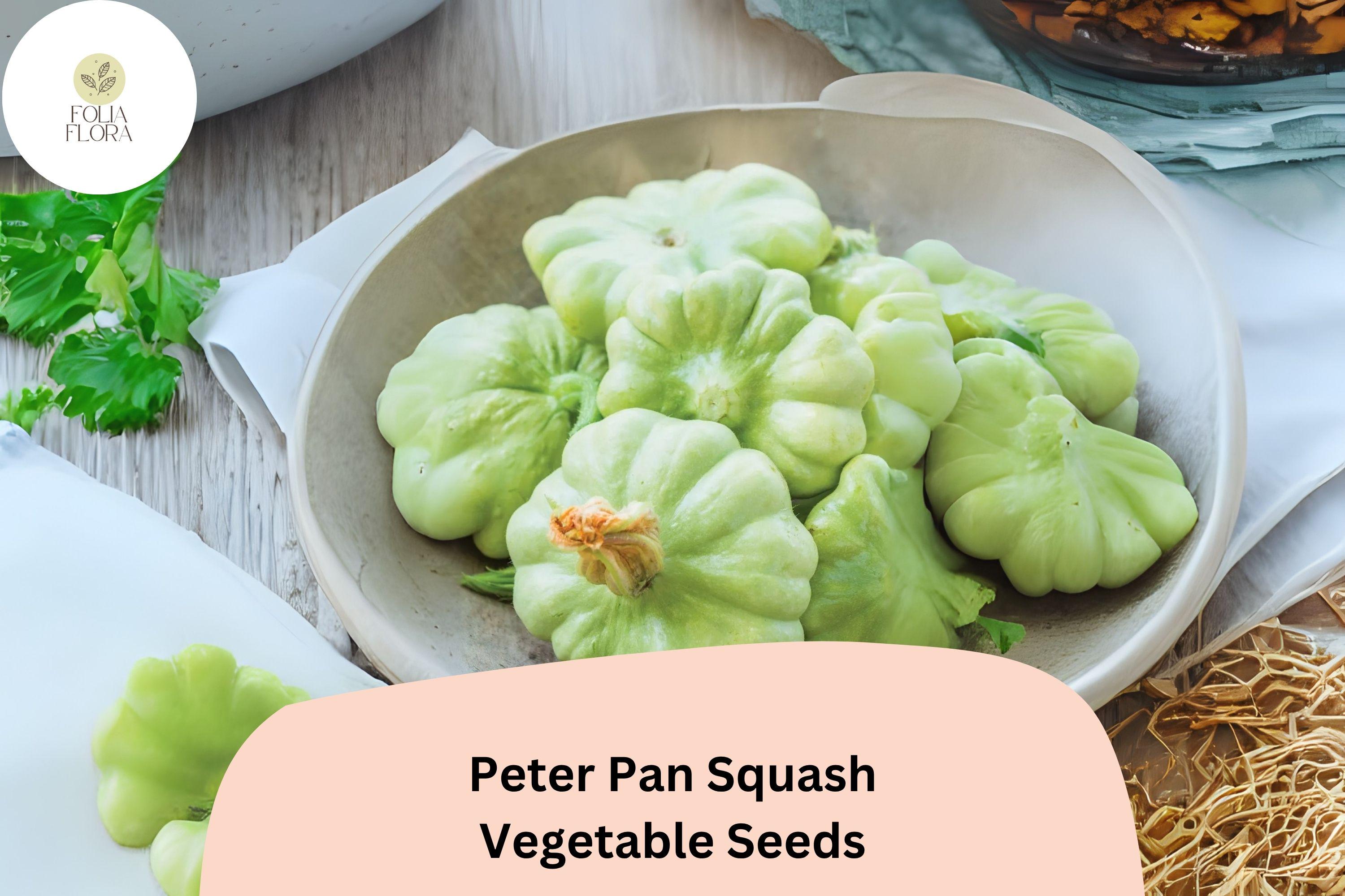Peter Pan Squash Seeds | Heirloom Green Scallop Patty Pan