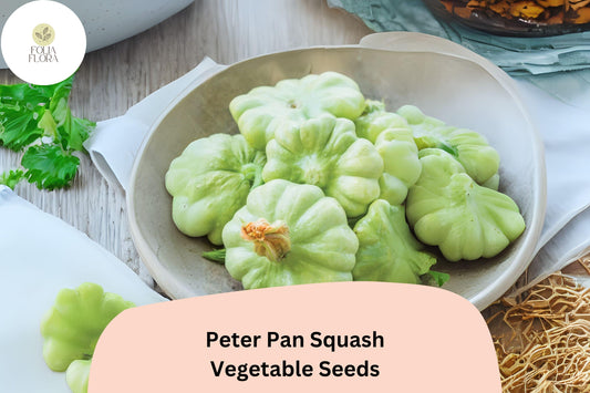 Peter Pan Squash Seeds | Heirloom Green Scallop Patty Pan