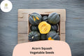 Acorn Squash Seeds | Heirloom Winter Squash, 25+