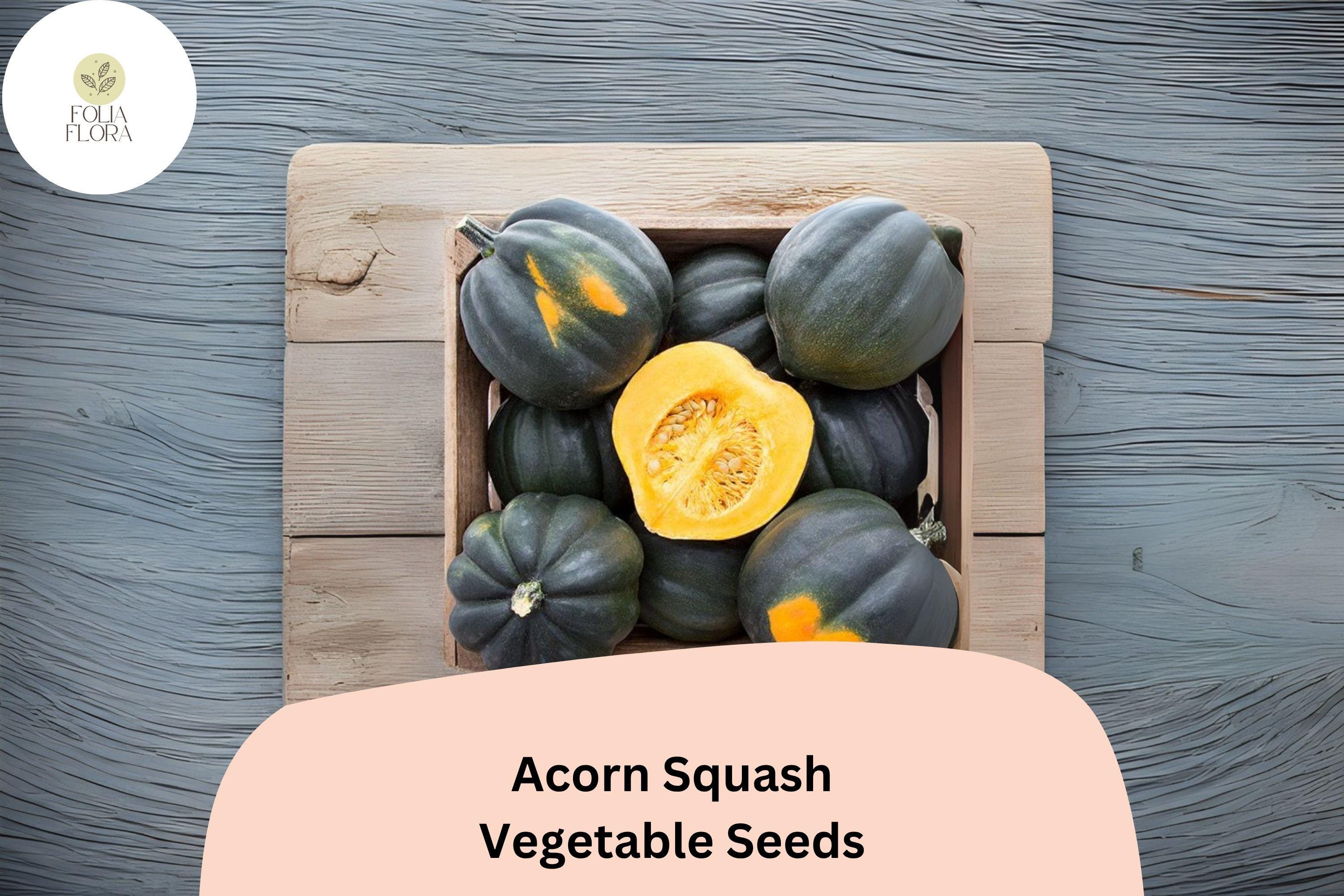 Acorn Squash Seeds | Heirloom Winter Squash, 25+