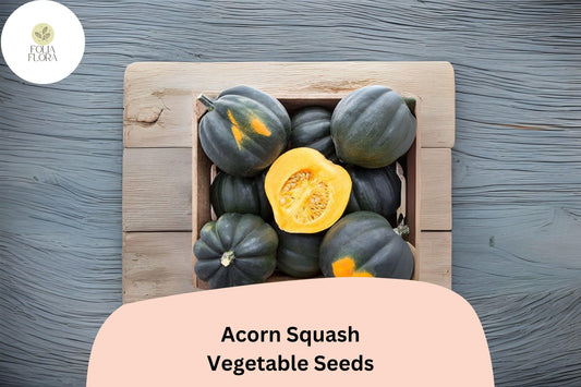 Acorn Squash Seeds | Heirloom Winter Squash, 25+