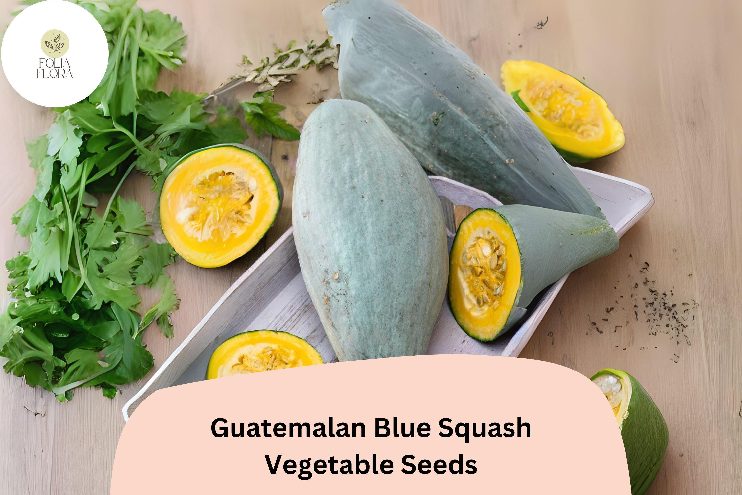Guatemalan Blue Squash Seeds | Rare Heirloom Winter Variety
