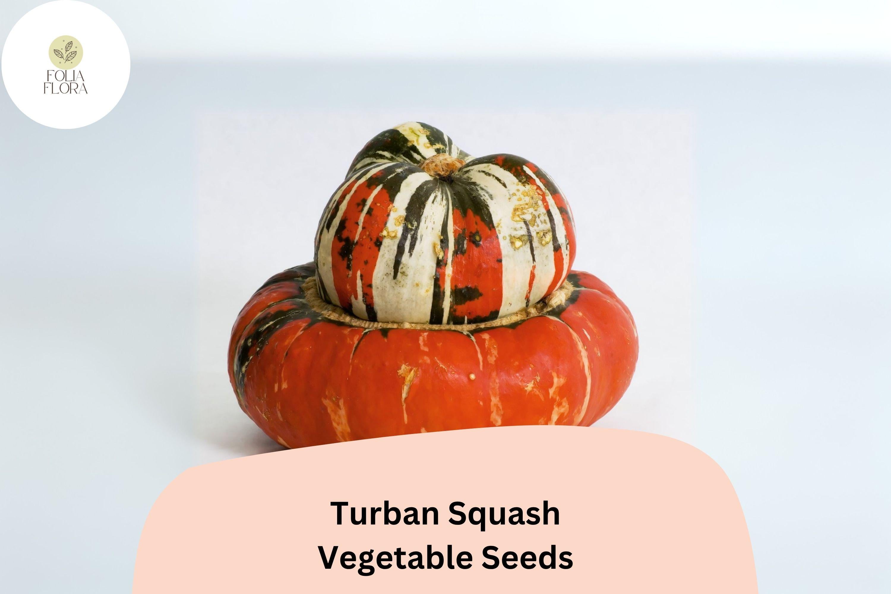 Turban Squash Seeds | Heirloom Winter Squash, Edible & Decorative