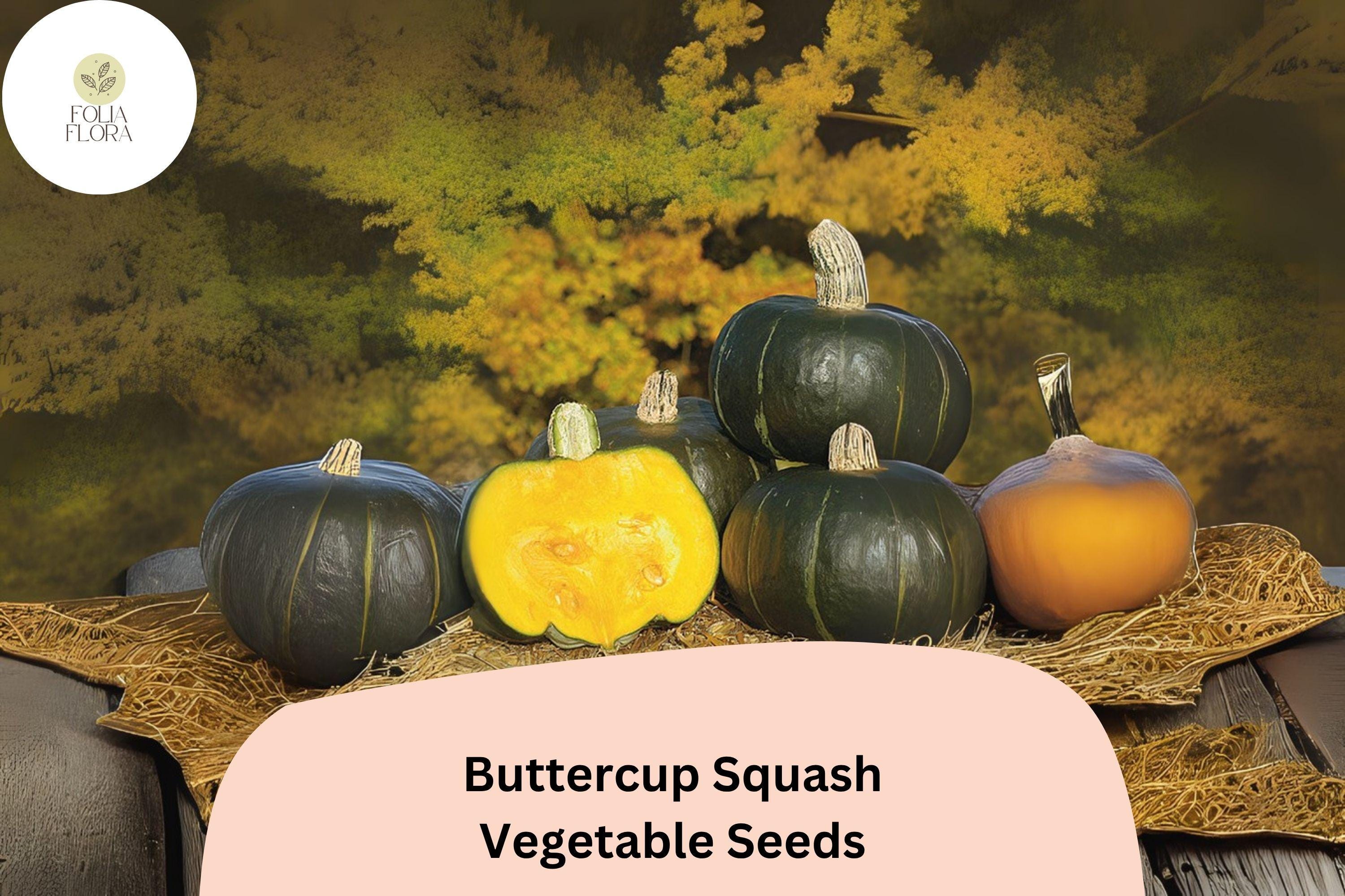25+ Buttercup Squash Seeds for Planting | Heirloom Winter Squash | Sweet, Dense Orange Flesh