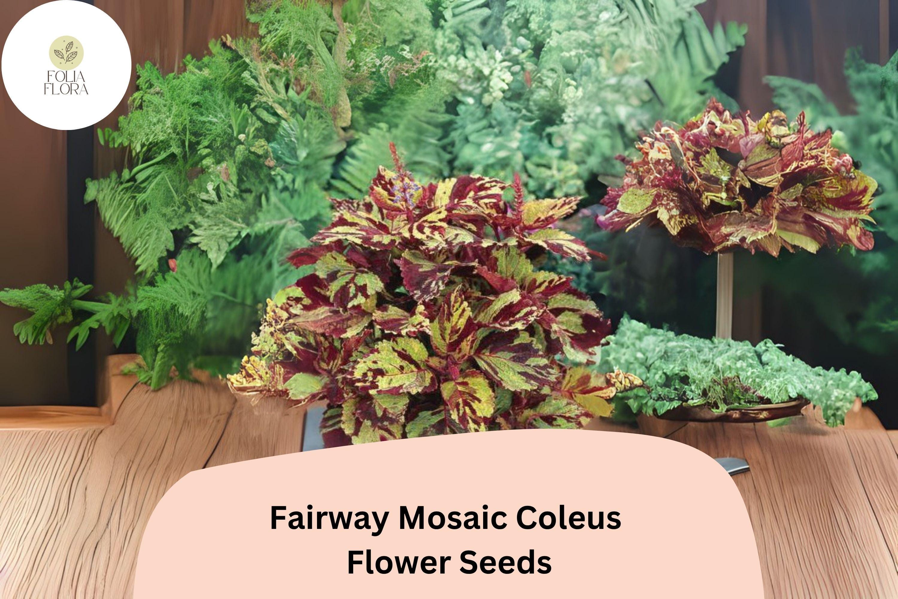 Fairway Mosaic Coleus Seeds | Colorful Shade Plant for Garden Beds