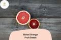 Blood Orange Seeds | Citrus Sinensis, Sweet-Tart Fruit